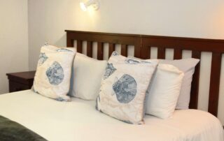 Eland - Aan-die-Oewer Guest House Graaff-Reinet