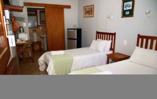 steenbok - Aan-die-Oewer Guest House Graaff-Reinet